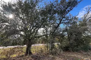 Tbd State Hwy 111 Rd, Edna, TX 77957 - Photo 1