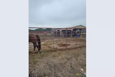 4950 County Road 110, Burnet, TX 78611 - Photo 4