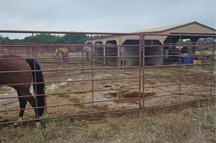 4950 Co Rd 110, Burnet, TX 78611 - Photo 4