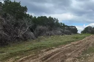 4950 Co Rd 110, Burnet, TX 78611 - Photo 10