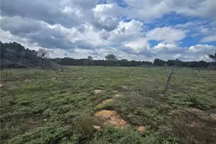 4950 Co Rd 110, Burnet, TX 78611 - Photo 6