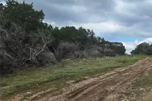 4950 Co Rd 110, Burnet, TX 78611 - Photo 10