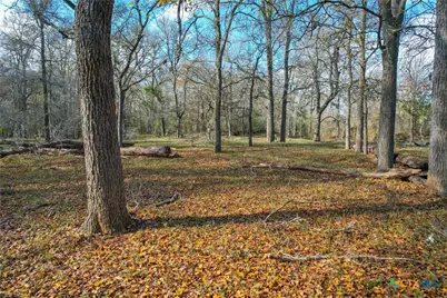 Tract 1 Cr 230 Road, Harwood, TX 78632 - Photo 8