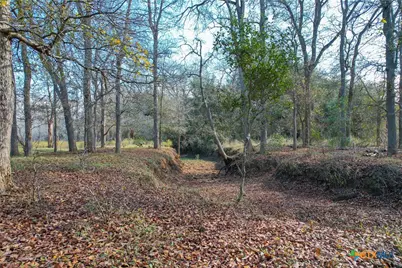 Tract 1 Cr 230 Road, Harwood, TX 78632 - Photo 10