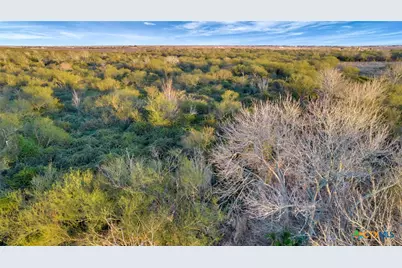 000 Rabbit Run Road, Victoria, TX 77905 - Photo 14