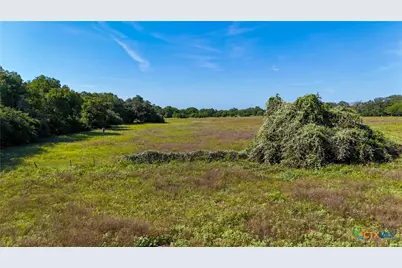 985 Dewberry Lane, Harwood, TX 78632 - Photo 12