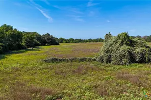 985 Dewberry Ln, Harwood, TX 78632 - Photo 12