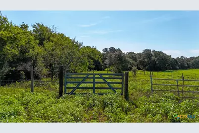 985 Dewberry Lane, Harwood, TX 78632 - Photo 18