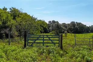 985 Dewberry Ln, Harwood, TX 78632 - Photo 18