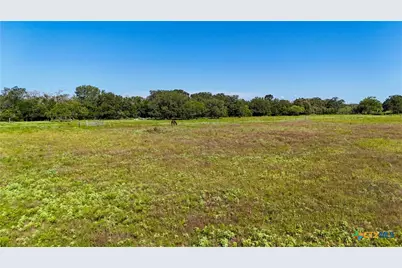 985 Dewberry Lane, Harwood, TX 78632 - Photo 14