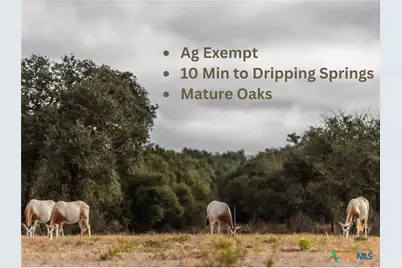 Lot 1 Legacy Hills Drive, Johnson City, TX 78636 - Photo 1