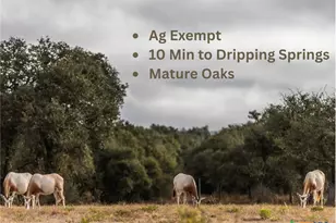 Lot 1 Legacy Hills Dr, Johnson City, TX 78636 - Photo 1