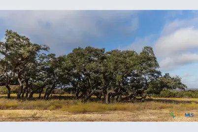 Lot 1 Legacy Hills Drive, Johnson City, TX 78636 - Photo 12