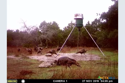 3018 County Road 3790, Lampasas, TX 76550 - Photo 12