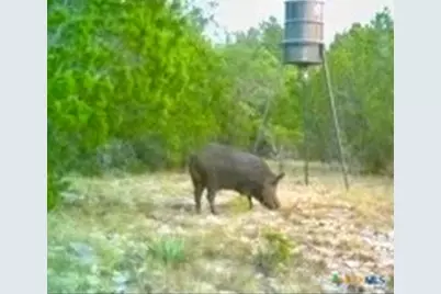 3018 County Road 3790, Lampasas, TX 76550 - Photo 4