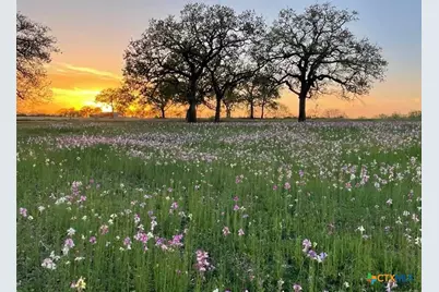 460 Woelke Road, Seguin, TX 78155 - Photo 1