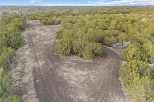 3250 Co Rd 202, Burnet, TX 78611 - Photo 8