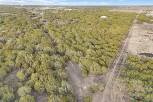 3250 Co Rd 202, Burnet, TX 78611 - Photo 10
