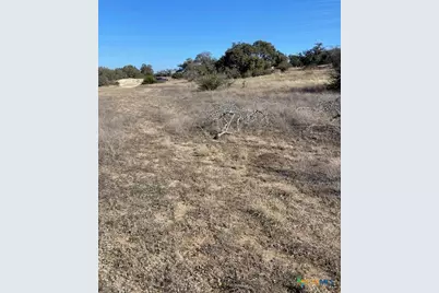 713 Fossil Springs Drive, Bulverde, TX 78163 - Photo 10