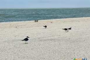 28 N Blackburn Ave, Port Lavaca, TX 77979 - Photo 28