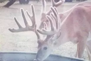 400 Indian Hills Rd, Gatesville, TX 76528 - Photo 2