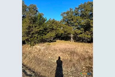 205 S Calvin Barrett, Blanco, TX 78606 - Photo 6