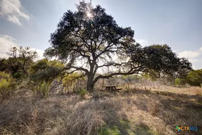 1463 Whispering Woods Trail, New Braunfels, TX 78132 - Photo 2