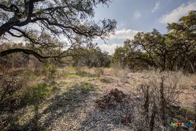 1463 Whispering Woods Trail, New Braunfels, TX 78132 - Photo 8