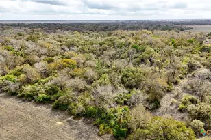 13822 Co Rd 394, El Campo, TX 77437 - Photo 14