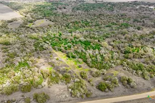 13822 Co Rd 394, El Campo, TX 77437 - Photo 4