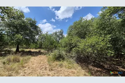 162 Scarlet Court Court, Canyon Lake, TX 78133 - Photo 2