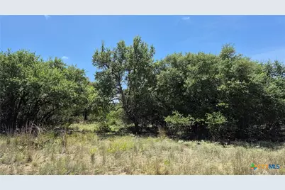 162 Scarlet Court Court, Canyon Lake, TX 78133 - Photo 4