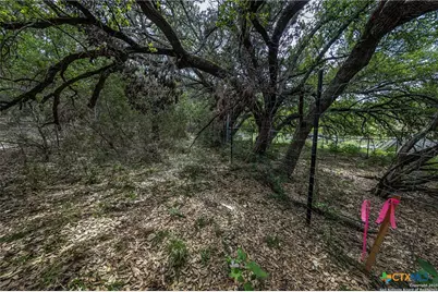 162 Scarlet Court Court, Canyon Lake, TX 78133 - Photo 12