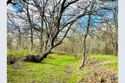 1118 Cr 447, Waelder, TX 78959 - Photo 14