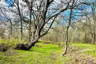 1118 Co Rd 447, Waelder, TX 78959 - Photo 14