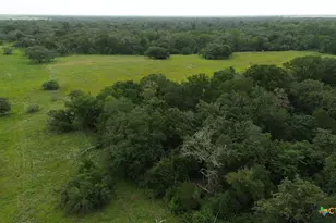 2846 Co Rd 18 Lavaca County Tx, Hallettsville, TX 77964 - Photo 4