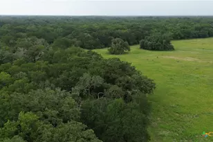 2846 Co Rd 18 Lavaca County Tx, Hallettsville, TX 77964 - Photo 34