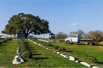 1080 Whisper Road, Luling, TX 78648 - Photo 24