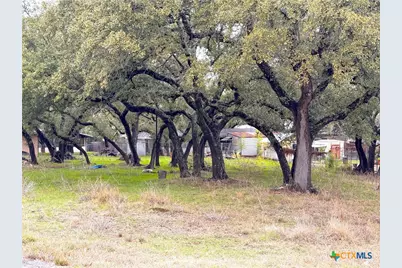 Tbd Irene Drive, Canyon Lake, TX 78133 - Photo 2