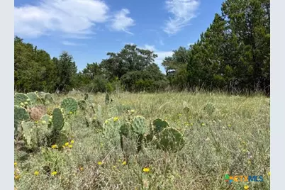 8629 Fm 1690, Lampasas, TX 76550 - Photo 12