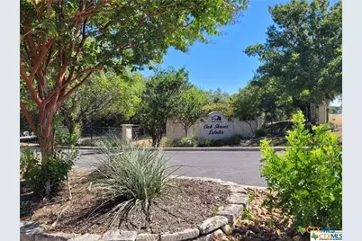 344 Scarlet Court, Canyon Lake, TX 78133 - Photo 4