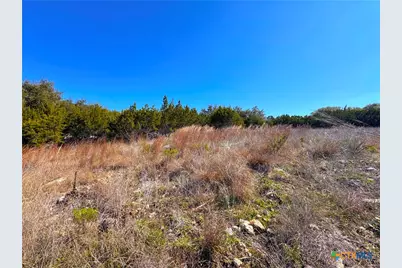 344 Scarlet Court, Canyon Lake, TX 78133 - Photo 12