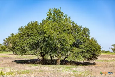 12211 Fm 531 #Tract 4, Hallettsville, TX 77964 - Photo 4