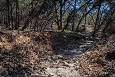 837 Crystal Peak Drive, Fischer, TX 78623 - Photo 24