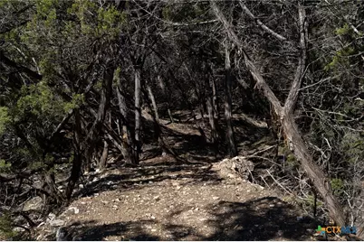 837 Crystal Peak Drive, Fischer, TX 78623 - Photo 20