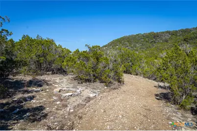 837 Crystal Peak Drive, Fischer, TX 78623 - Photo 4