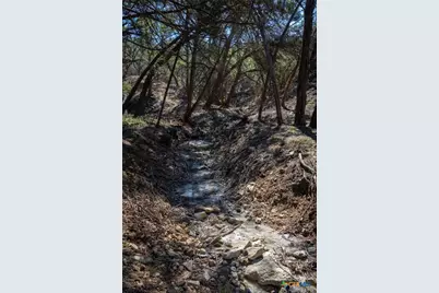 837 Crystal Peak Drive, Fischer, TX 78623 - Photo 22