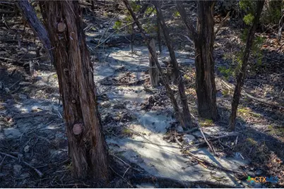 837 Crystal Peak Drive, Fischer, TX 78623 - Photo 14