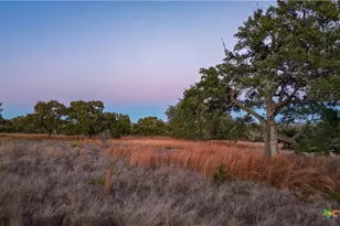 5999 Ranch Road 165, Blanco, TX 78606 - Photo 46