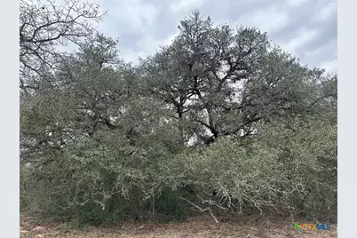 2 Dentler Tract 2 Road, Meyersville, TX 77974 - Photo 2